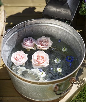 Rostfri balja med rosa blommor i vatten